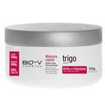 Vita derm máscara de trigo 240g bio-v